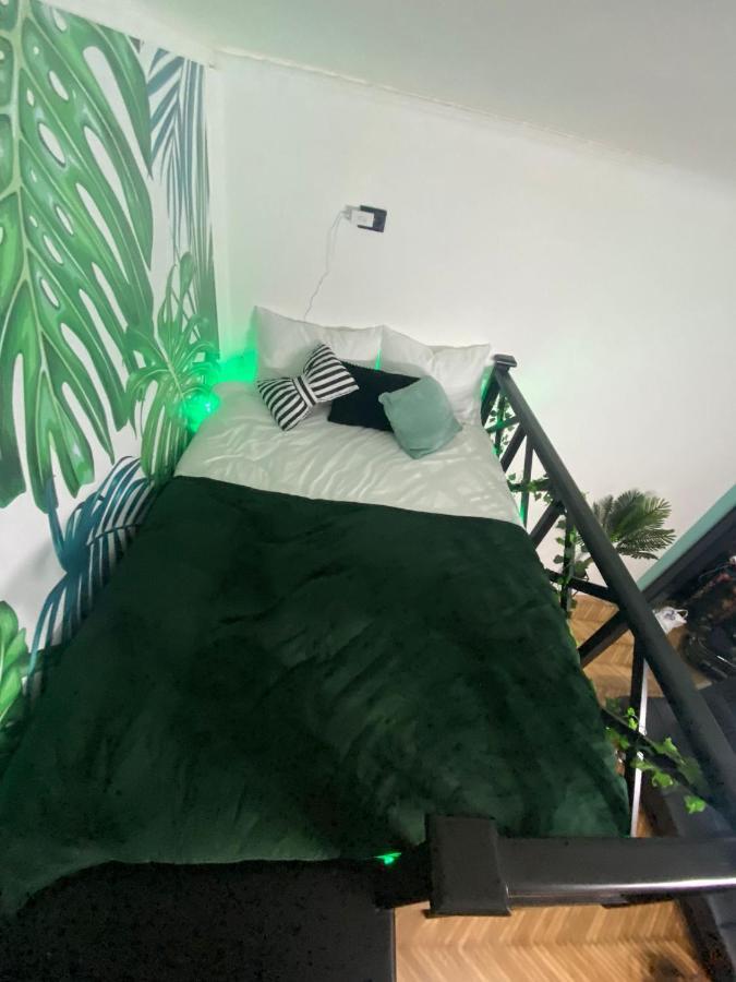 Green Vibes Central בראשוב מראה חיצוני תמונה