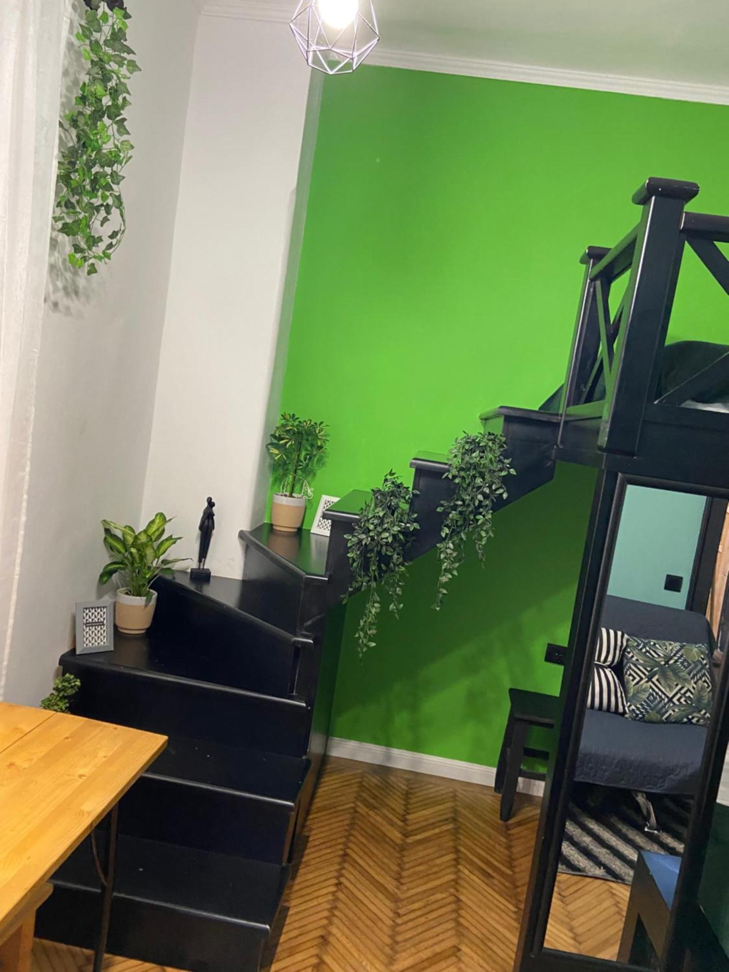 Green Vibes Central בראשוב מראה חיצוני תמונה